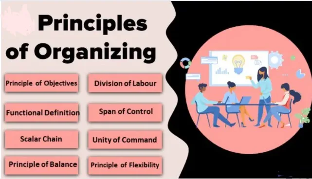 Principles Of Organizing