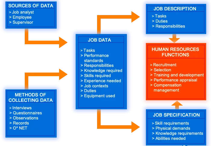 Process Of Job Analysis E1704172729984