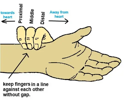 Requirements Radial Pulse