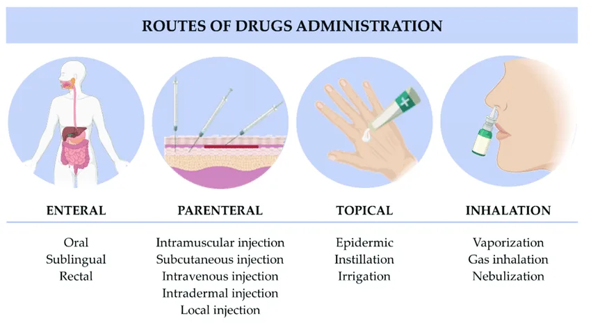 Routes Used In Administering Medicines