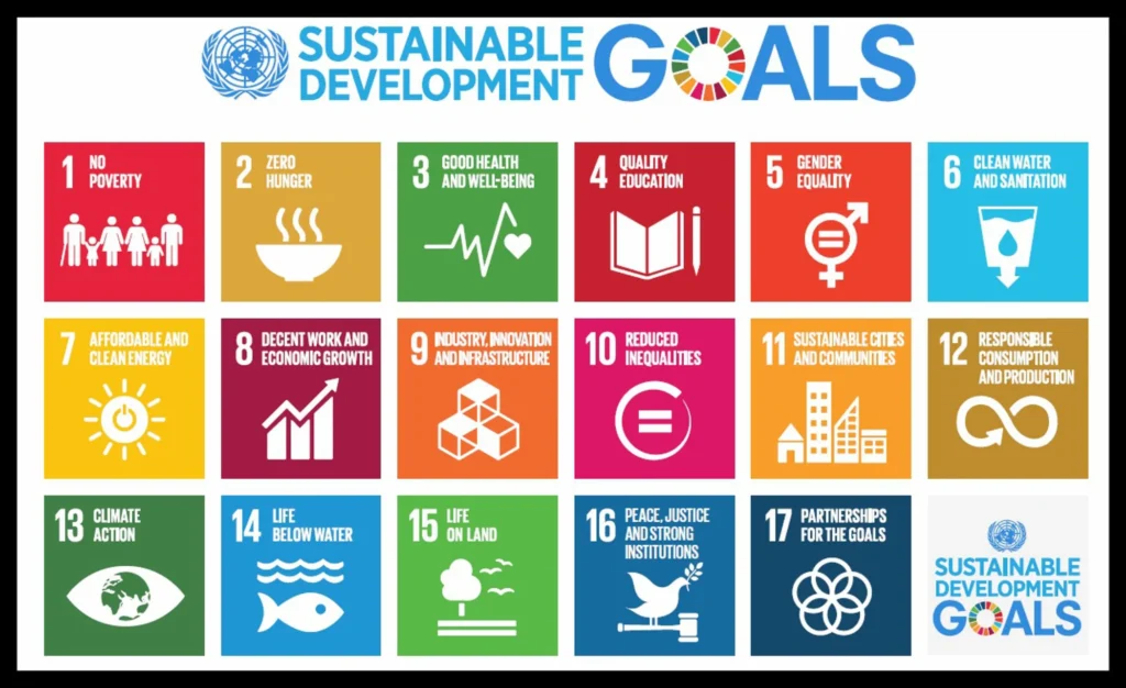 SUSTAINABLE DEVELOPMENT GOALS SDGS