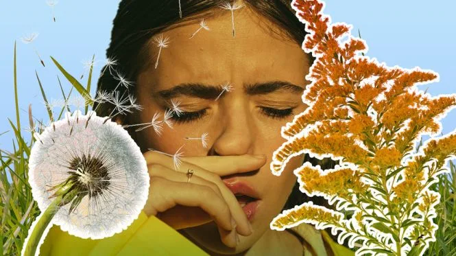 Signs And Symptoms Of Plant Allergies 1