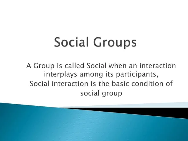 Social Groups