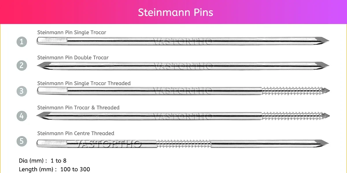 Steinmanns Pins E1742282194206