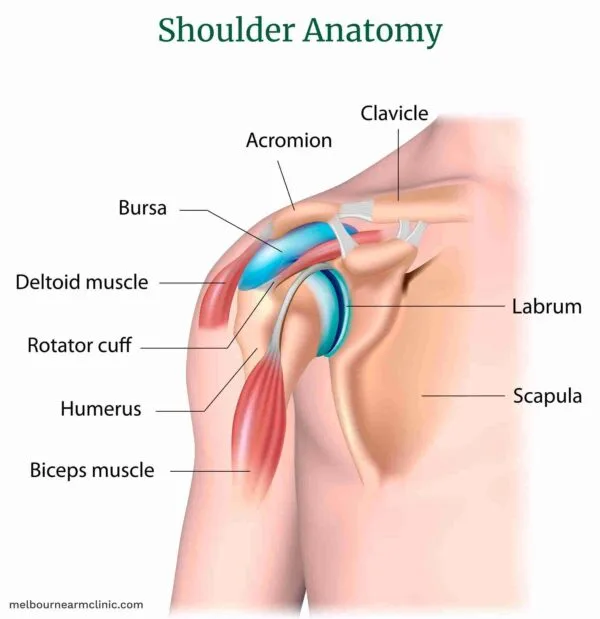 Subacromial Bursitis