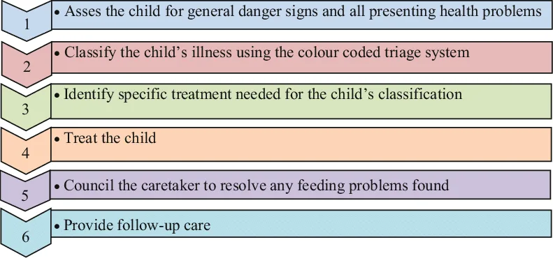 The Case Management Process