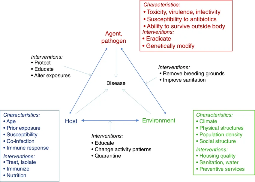 The Epidemiologic Triad Of Infectious Disease