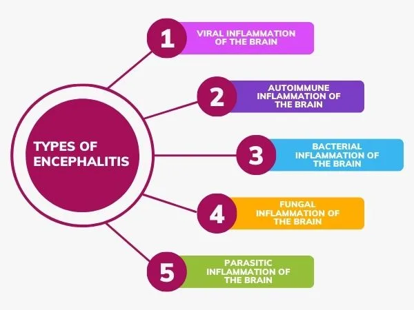 Types Classifications Of Encephalitis