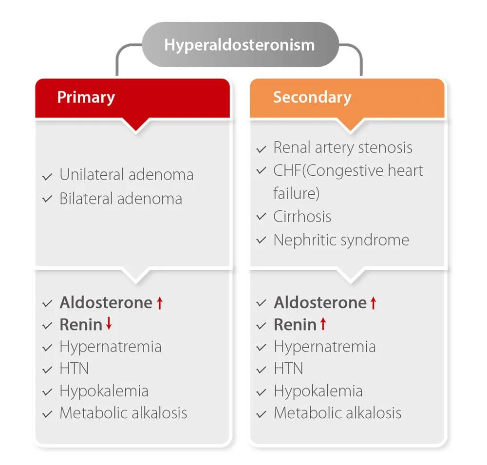 Types Of Aldosteronism 1