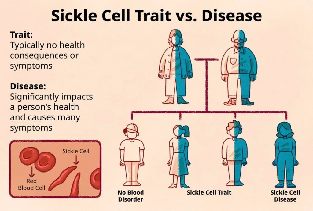 Types Of Sickle Cell Disease 1
