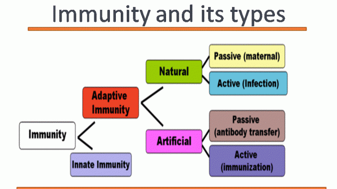 Types Of Immunity