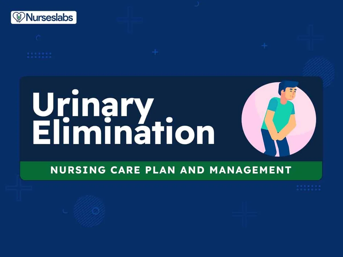 Urinary Elimination Nursing Care Plans