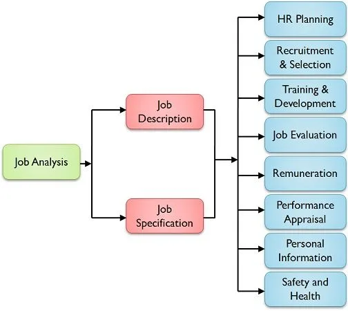 Uses Of Job Analysis