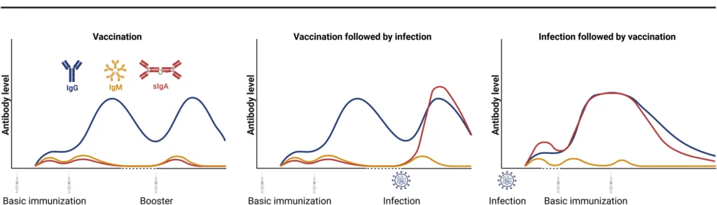 Vaccines And Immunoglobulins 1 E1736616330157