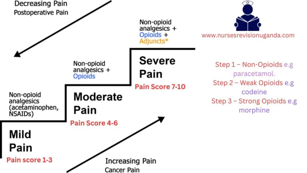 WHO Analgesic Ladder 1