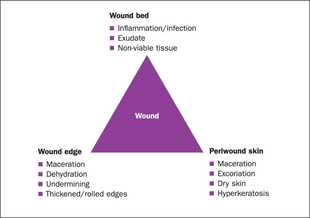 Wound Assessment 1