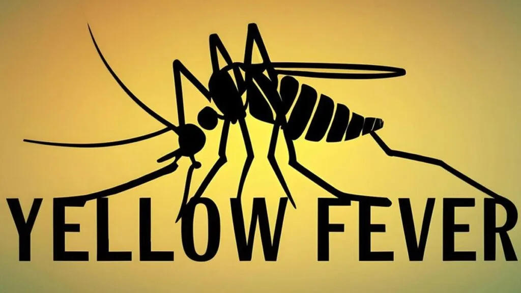 Yellow Fever 1