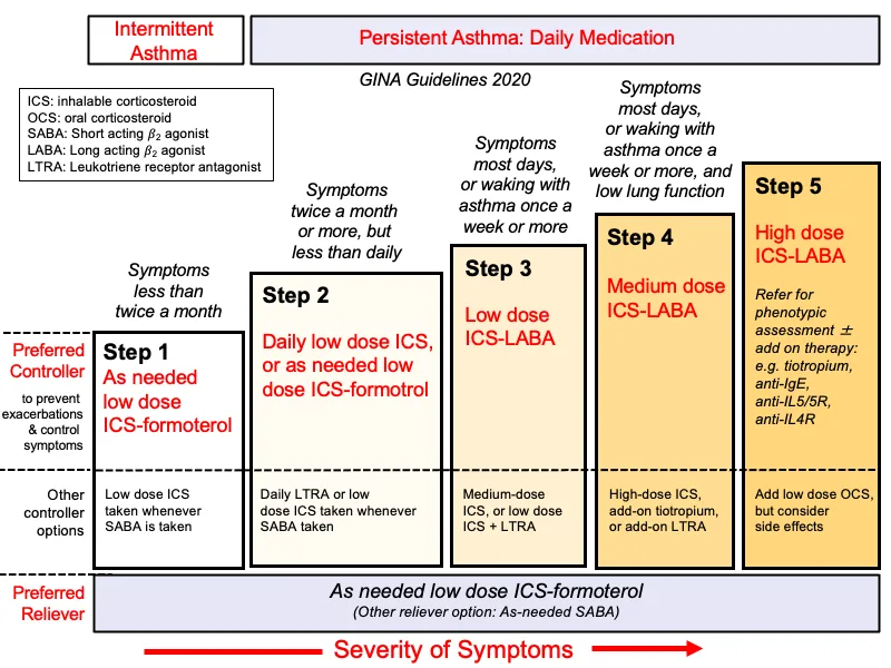 Asthma Guidelines Steps