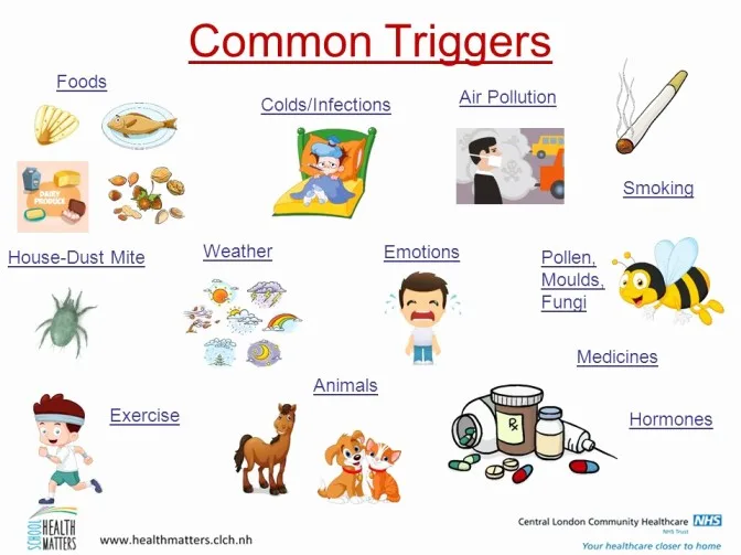 Asthma Triggers