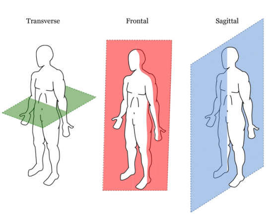 Body Planes Diagram