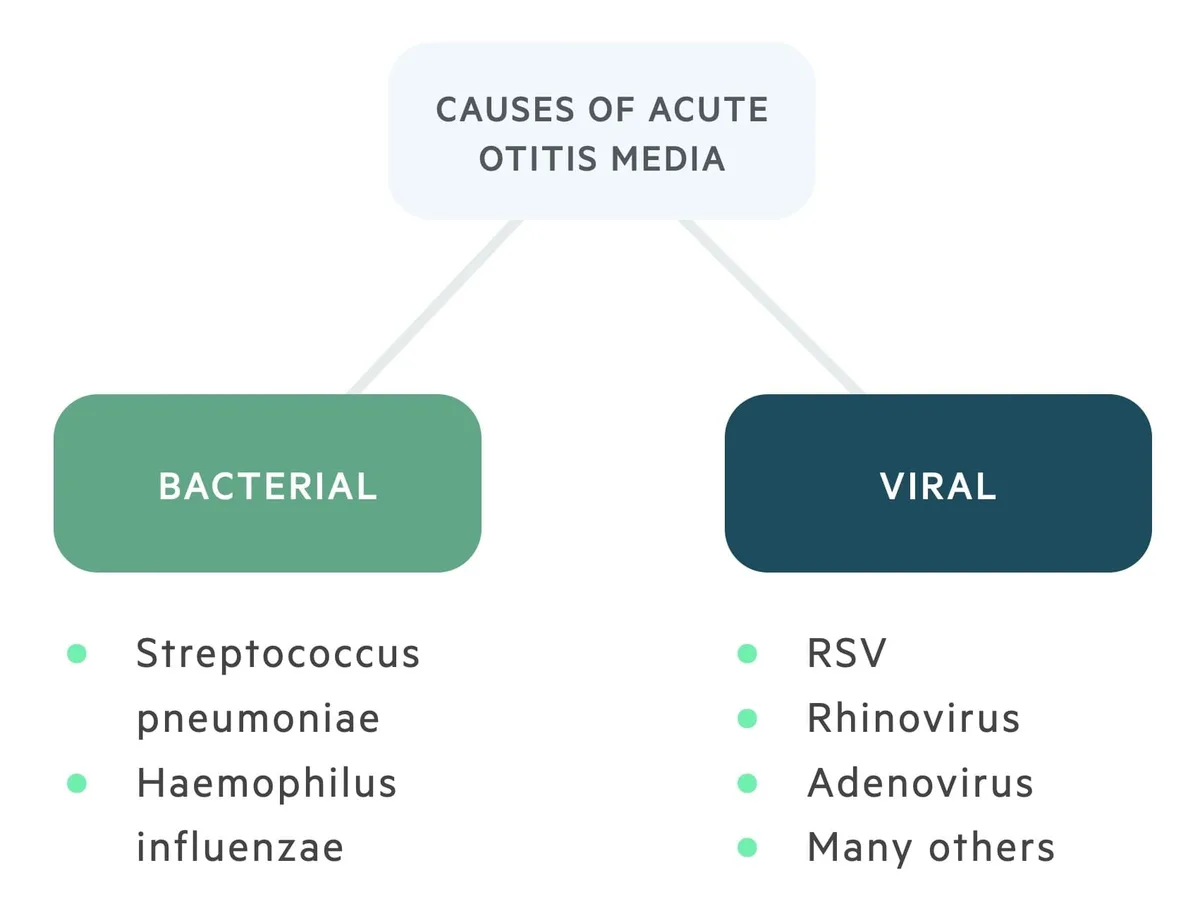 Causes Of Otitis Media 1