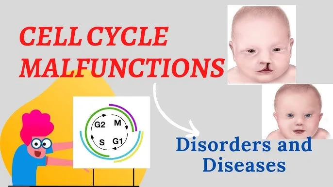 Cell Disorders