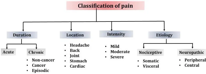 Classification Of Pain
