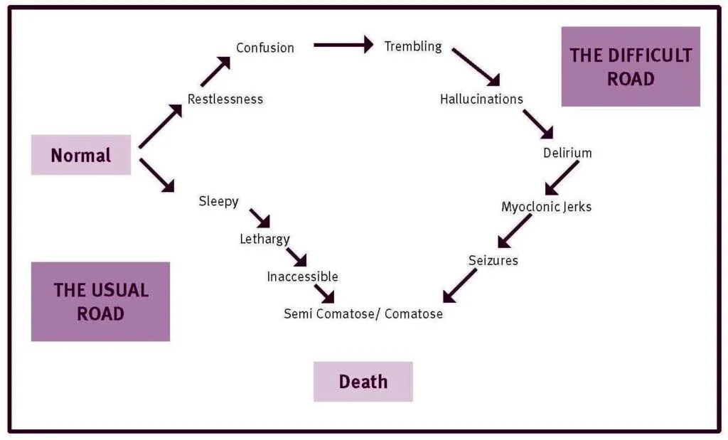 Death Road
