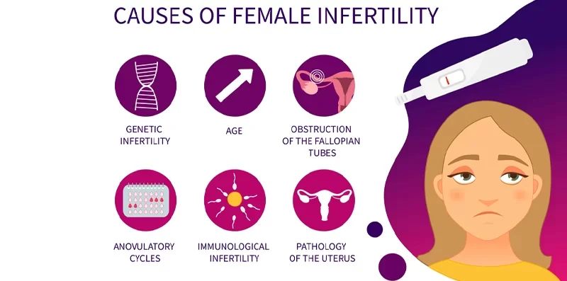 Female Infertility Causes 2 E1705662121686