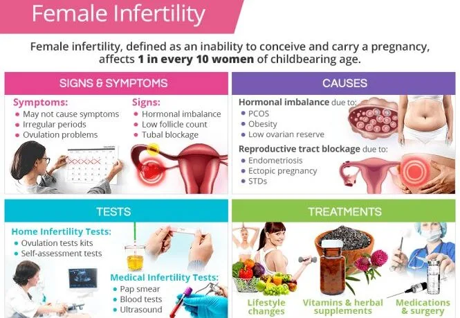 Female Infertility Treatment E1705662995179