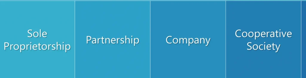 Forms Of Business 1 E1704785158968