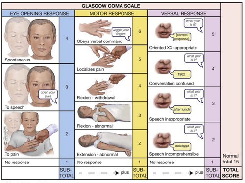Glassgow Coma Scale