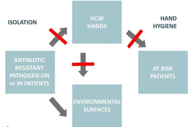 Hand Hygiene 1