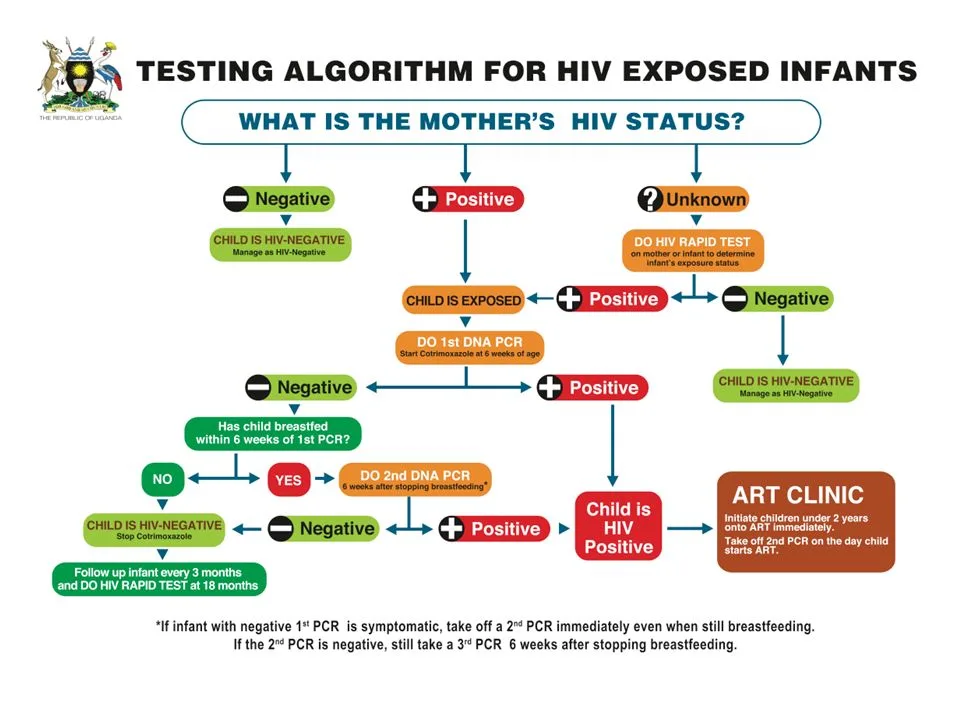 Hiv Aids Algorithm For Infants