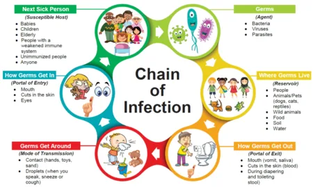 Image Illustrating The Chain Of Infection 1
