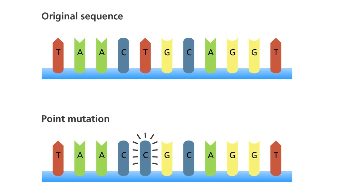 Mutationss