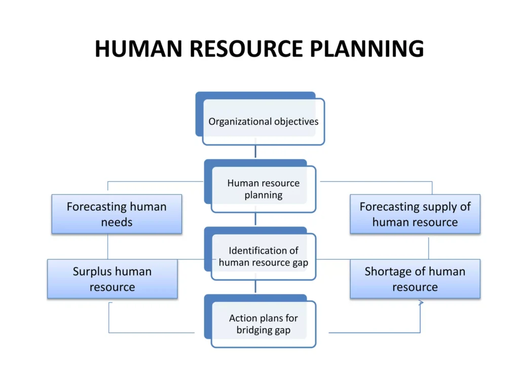 Process Of Human Resource Planning