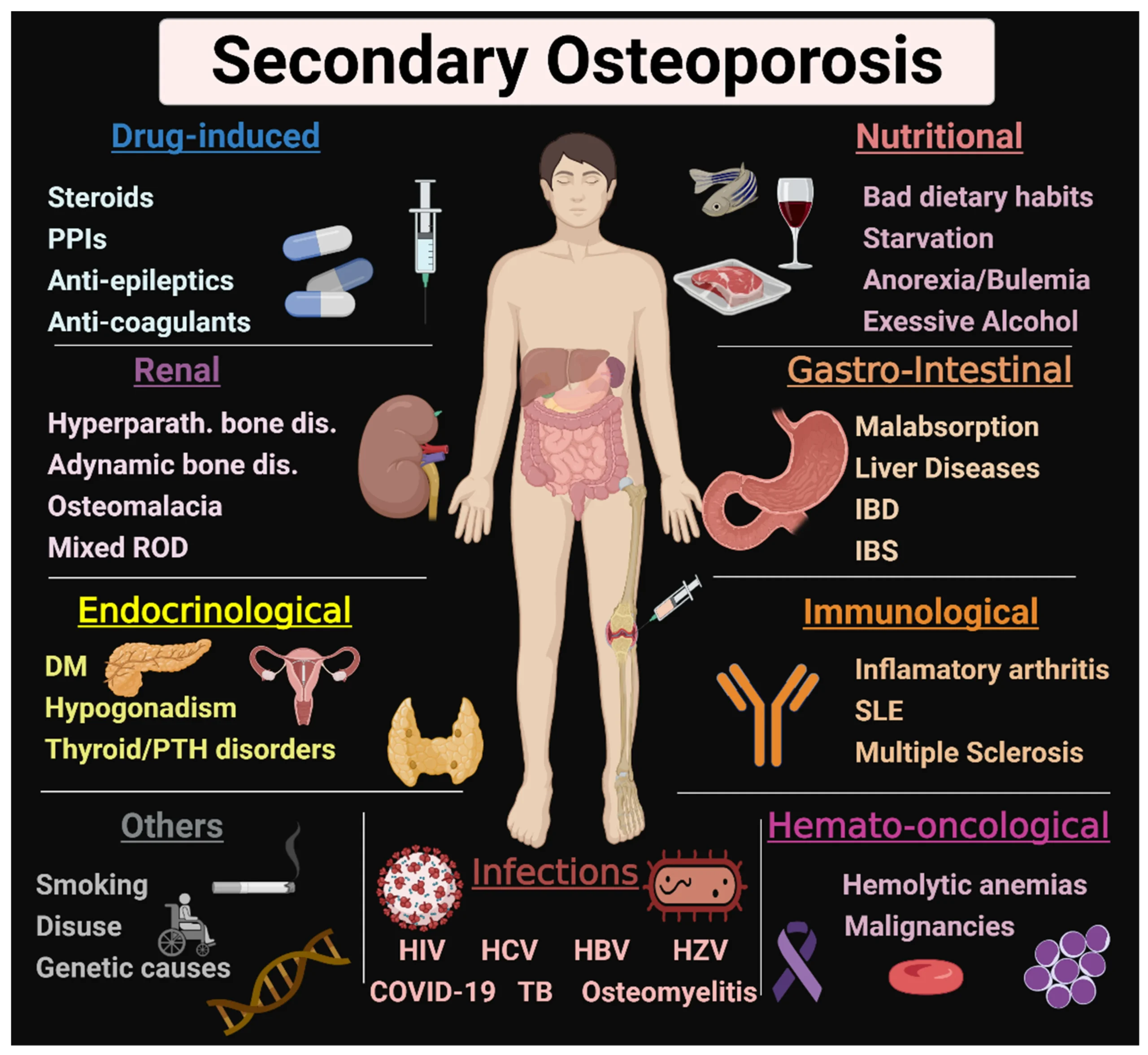 Secondary Osteoporosis Scaled
