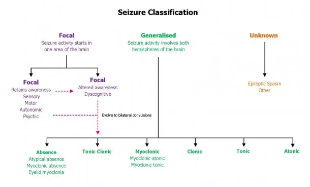 Seizure Classification