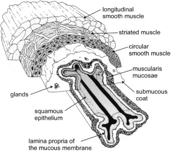 Structure 1