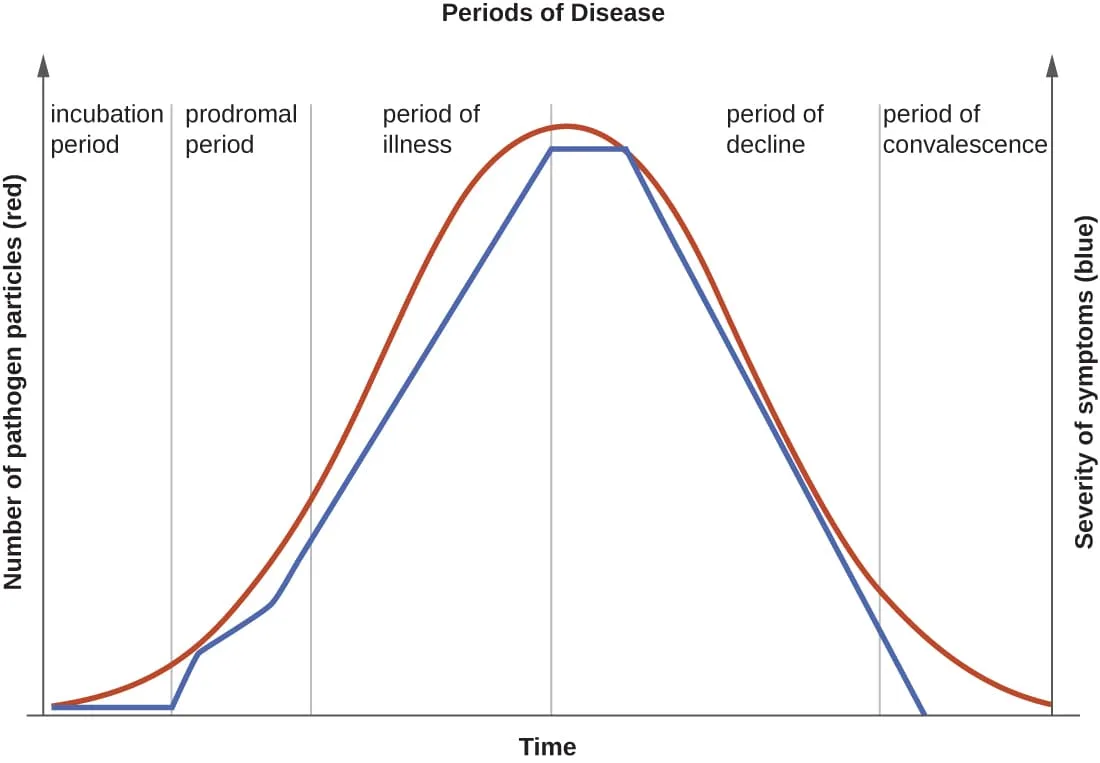 Stsges Of Infectious Disease 1