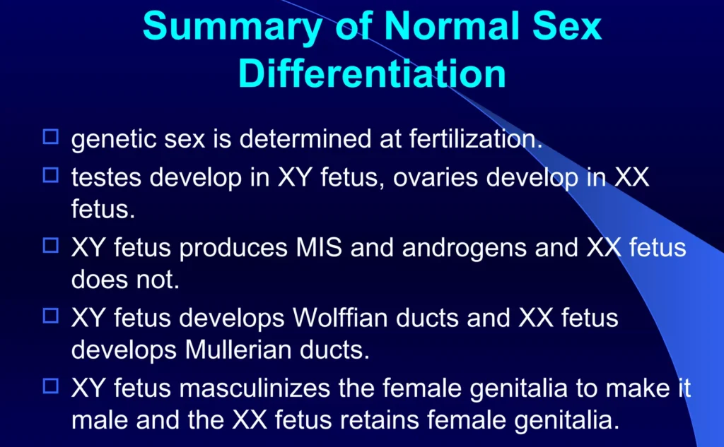 Summary Normal Sexual Development E1703045692391