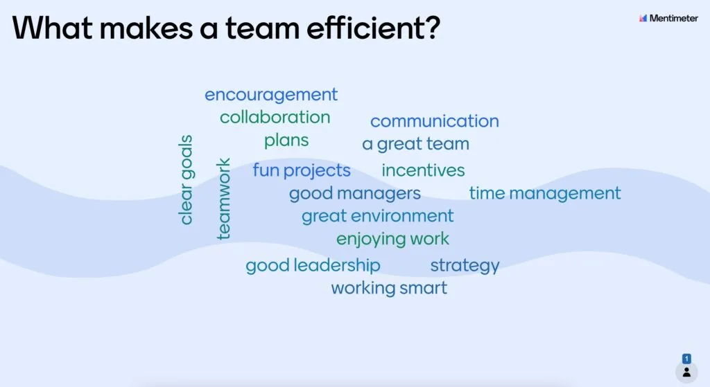 Team Efficient