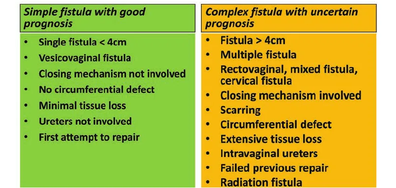 Types Of VESICO VAGINAL FISTULA