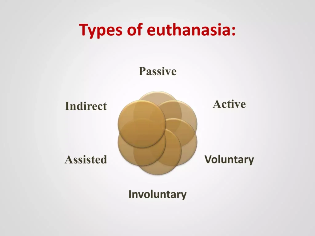 Types Of Eusthanasia