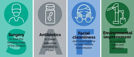 Who Strategy For Trachoma 1 1
